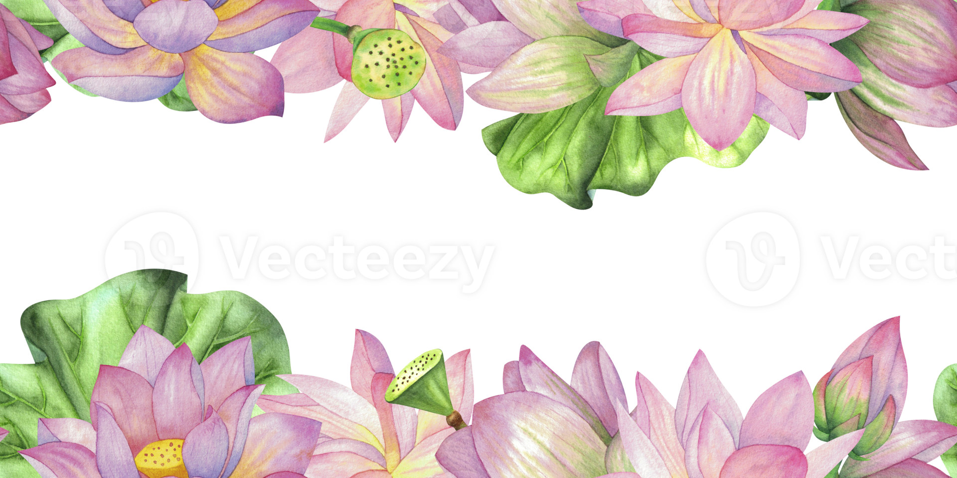 Pink lotuses, buds and leaves. Seamless pattern, frame, banner. Watercolor illustration isolated on background. Blank For design, decor, websites and printing, textiles png