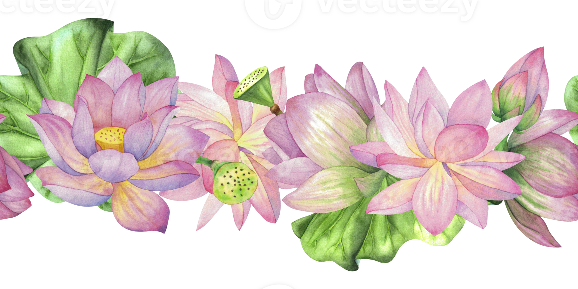 Pink lotuses, buds and leaves. Seamless pattern, border. Watercolor illustration isolated on background. For design, decor, typography and printing, print, textile png