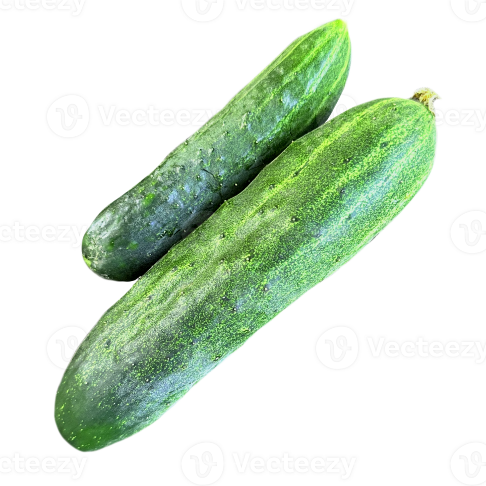 a group of fresh green farm cucumbers isolated from the background png