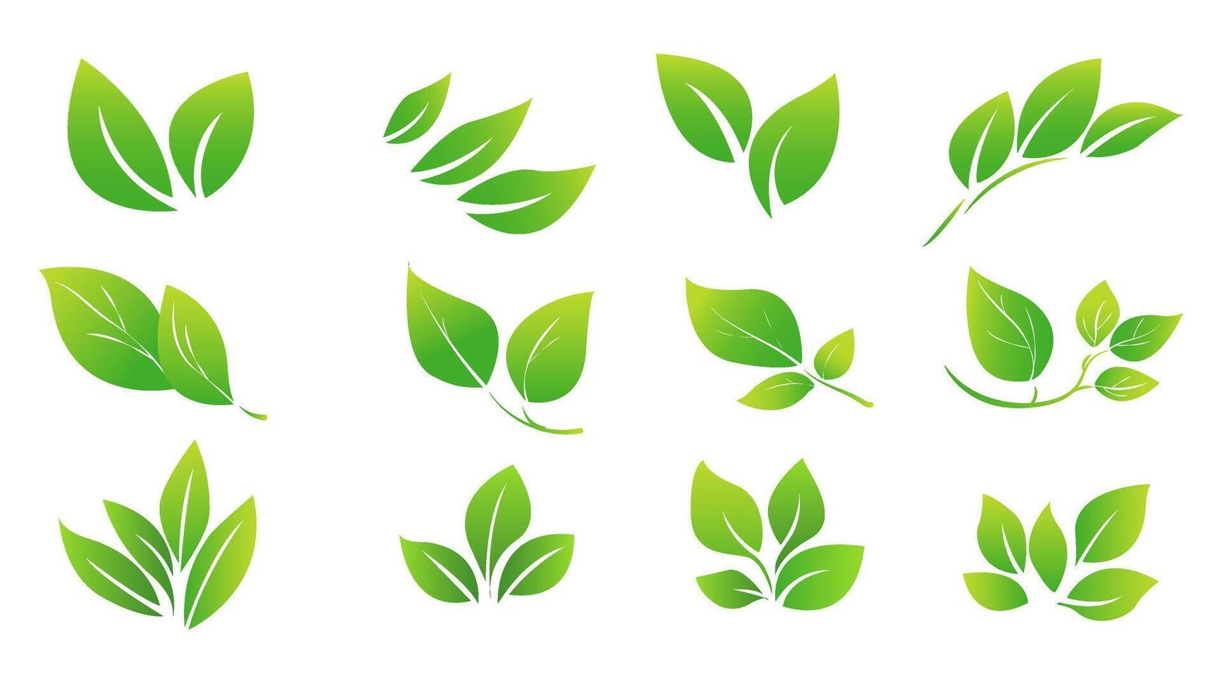 featuring eight different types of green leaves. Each leaf showcases unique shapes and vein patterns. graphic is simple, clean, and vibrant, ideal for nature-themed designs and eco-friendly projects vector