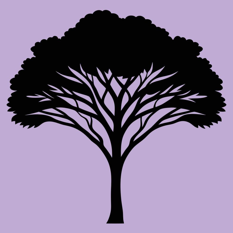 Acacia tree silhouette graphic for creative projects, logos, and outdoor-themed visuals. Ideal for digital or print designs. An elegant natural touch to your creative projects. vector