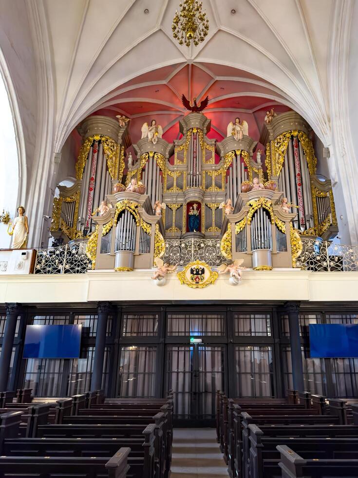 A detailed low-angle view of the historic pipe organ in Konigsberg Cathedral. The baroque design features intricate gold ornamentation and angelic sculptures, framed by soaring gothic arches and photo