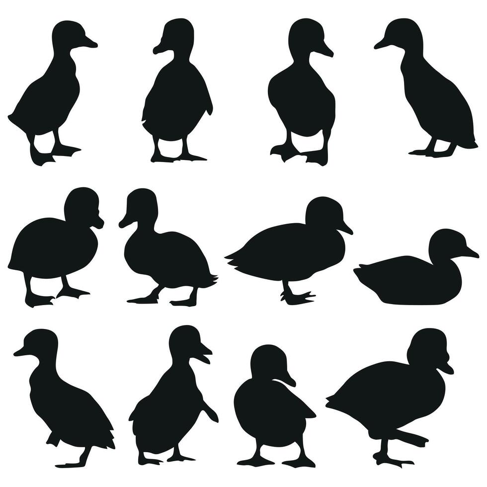 Cute duckling silhouette collection vector