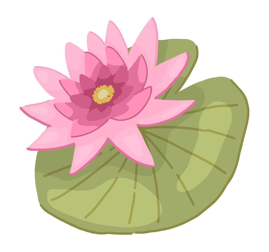 Abstract water lily plant. Lotus flower with leaf in cartoon style. Botanical clip art isolated on white. Single illustration. vector