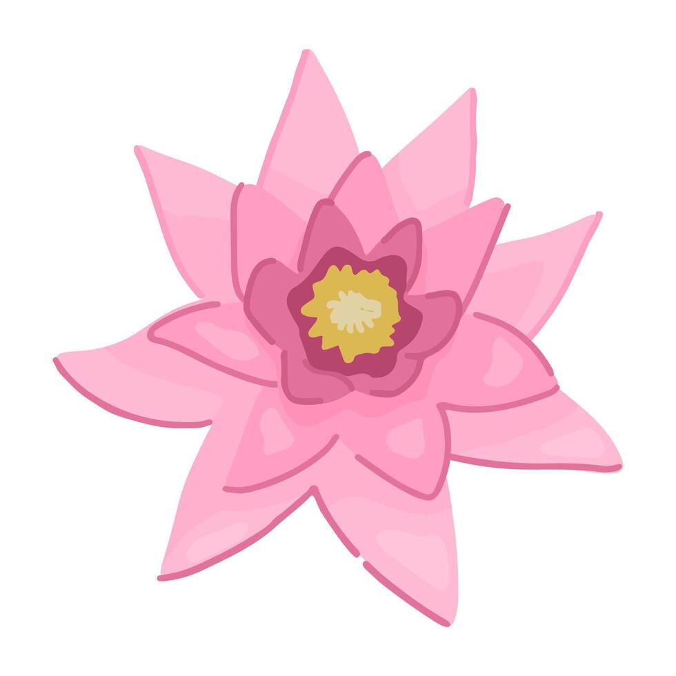 Abstract water lily plant. Lotus flower in cartoon style. Botanical clip art isolated on white. Single illustration. vector