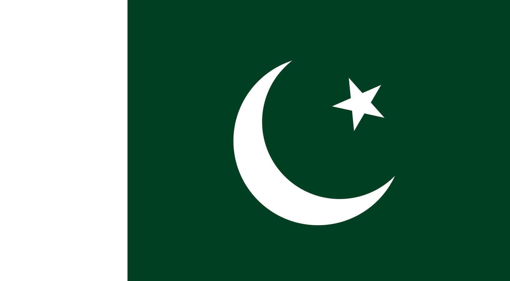Pakistan Flag Illustration vector