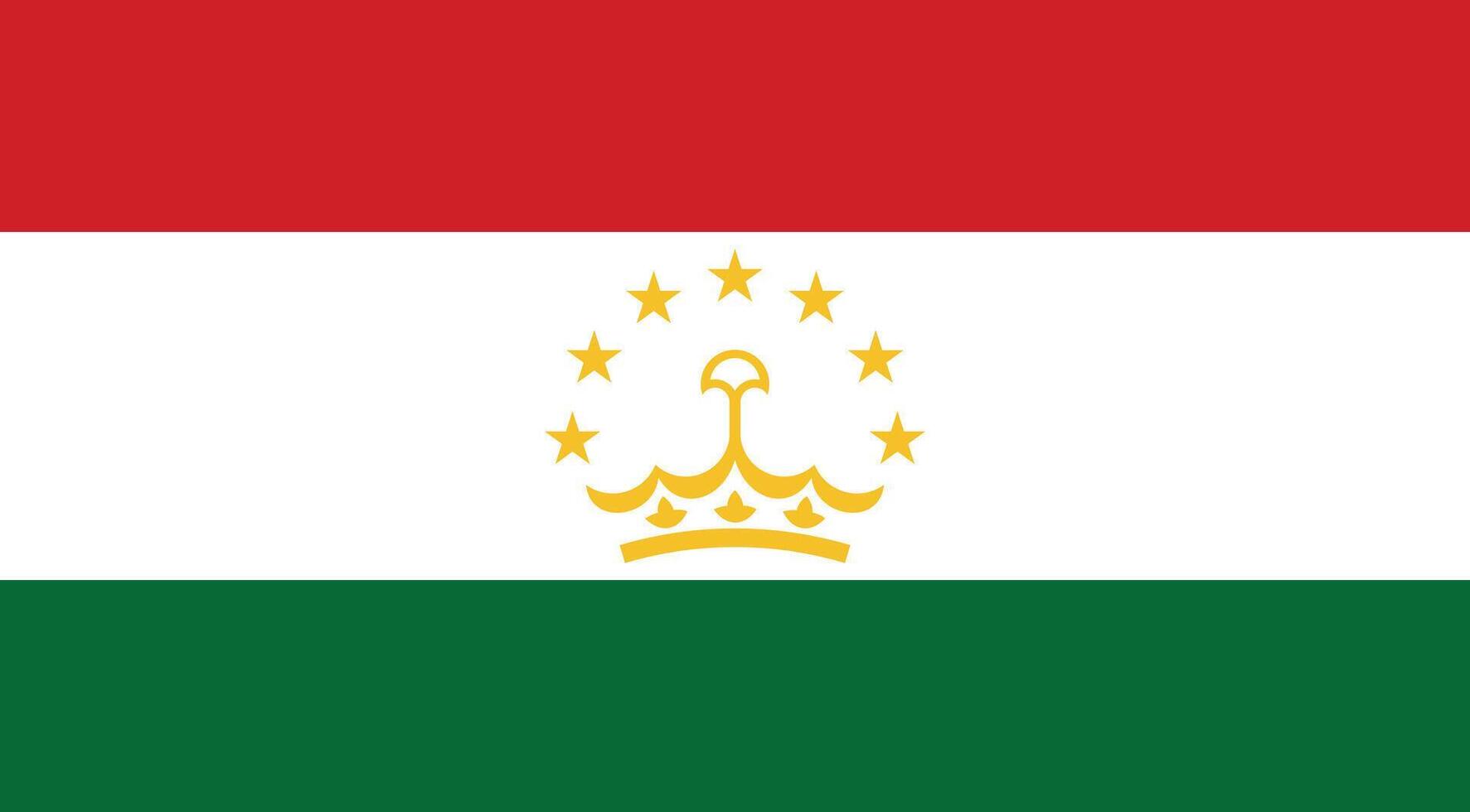 Tajikistan Flag Illustration vector