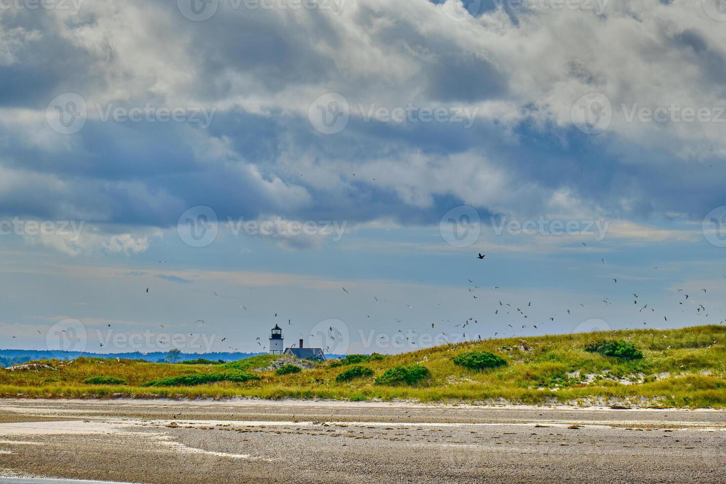 Sandy neck lighthouse with a dramatic sky with several flying birds photo