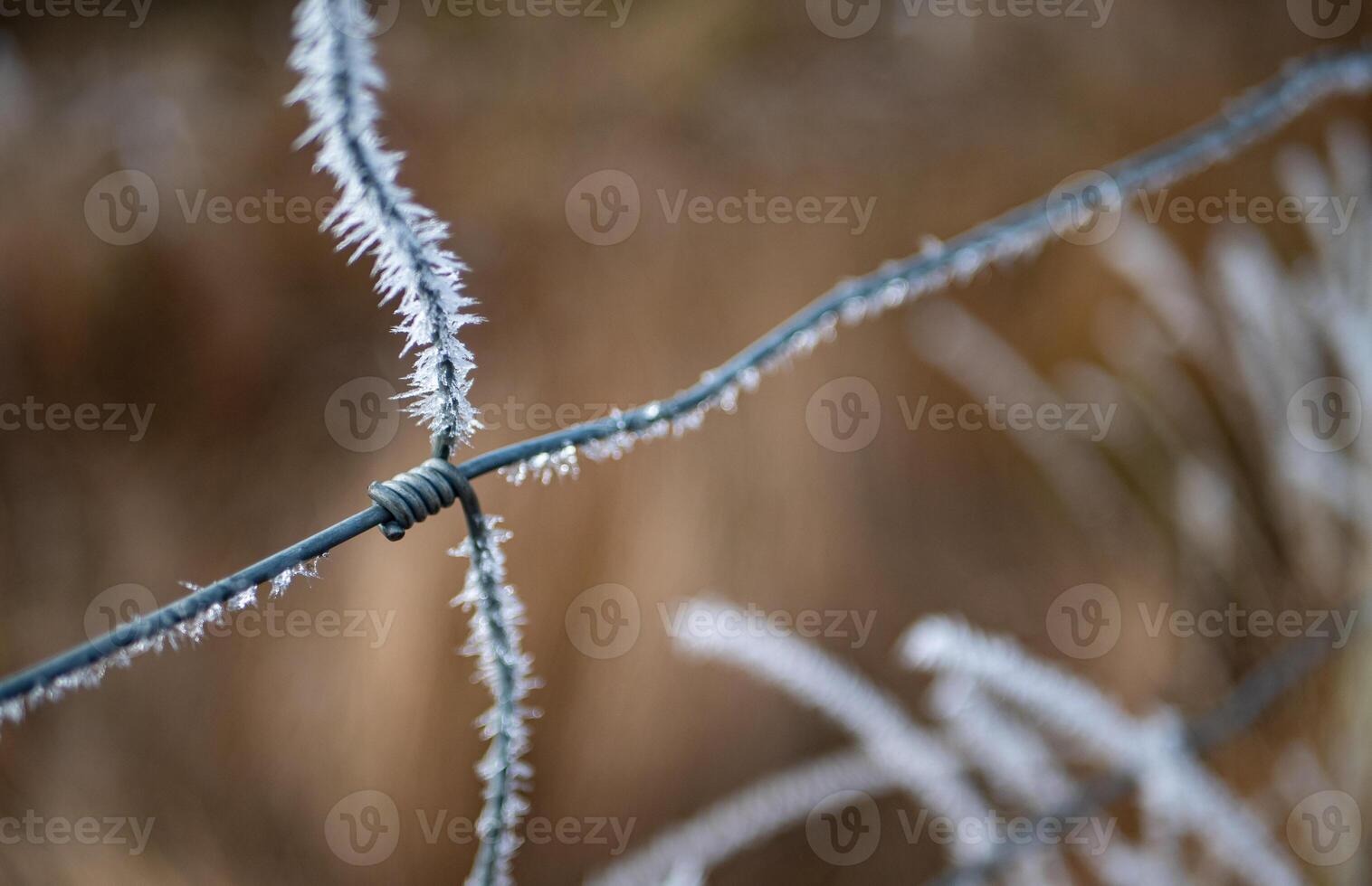 Fence wire covered in hoar frost close up macro photo