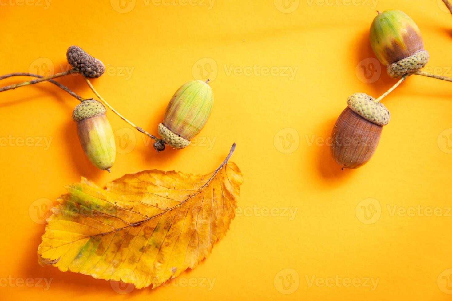 Abstract concept with autumn leaves and acorns on yellow background photo
