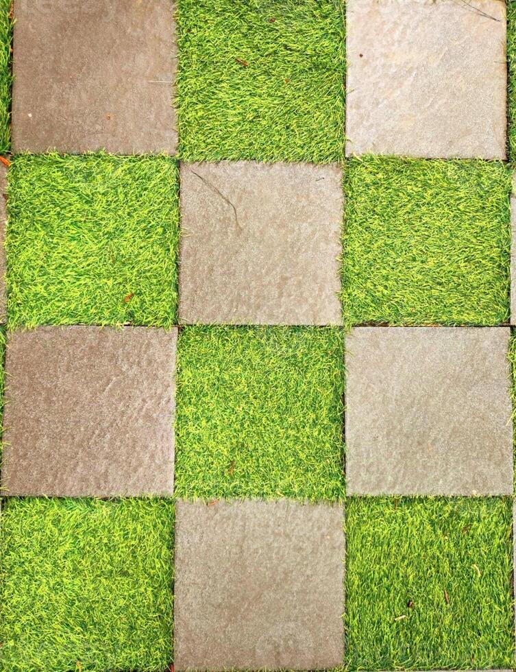 Checkerboard Pattern with Grass and Stone photo