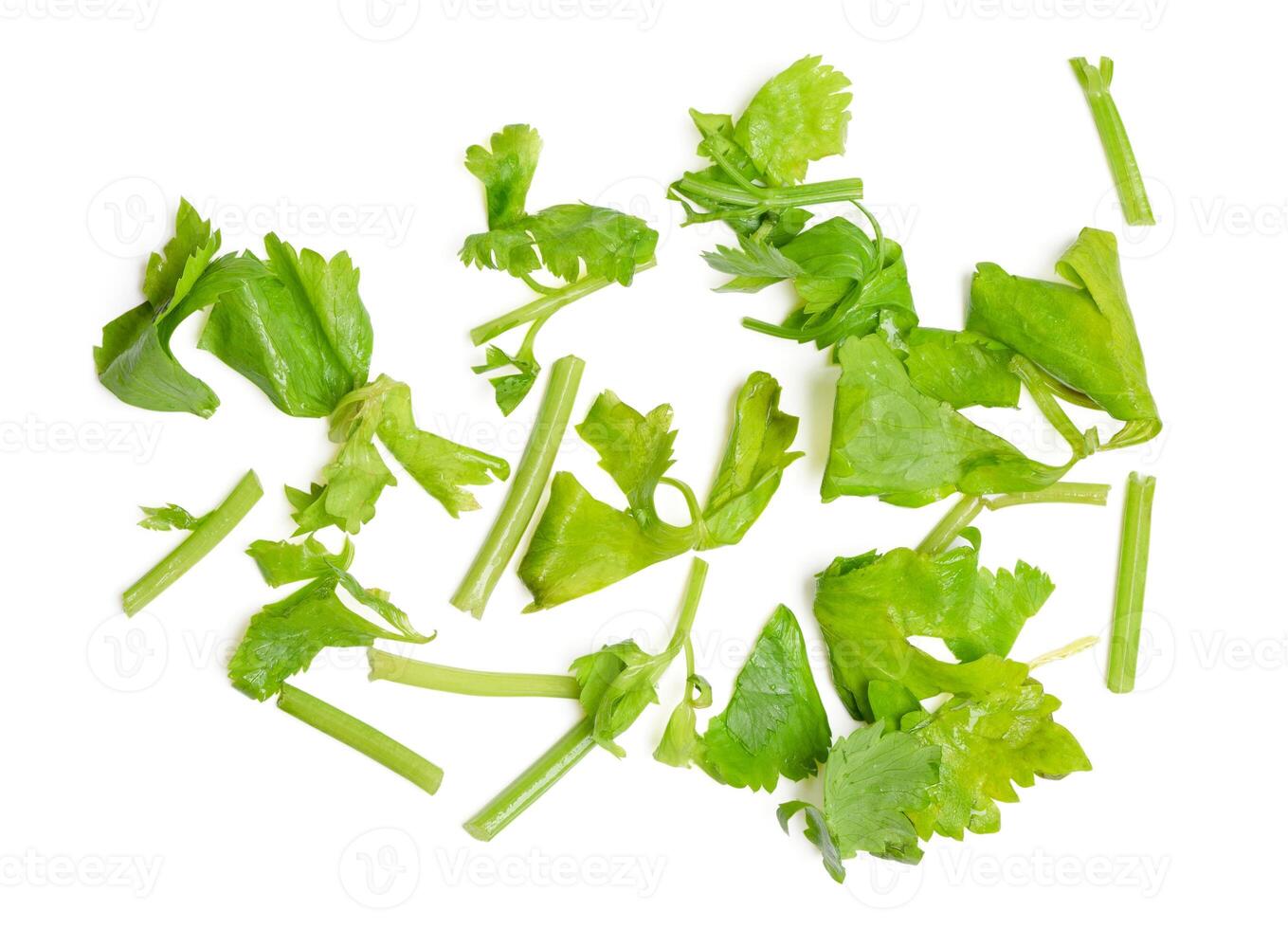 cut coriander with water drop on white background. photo