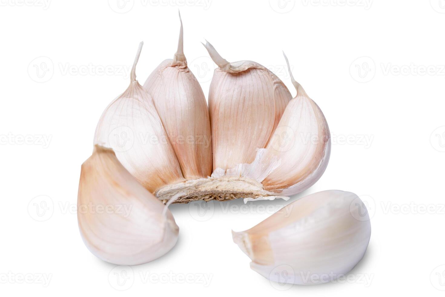 Fresh garlic cloves with garlic peel isolated on white background photo