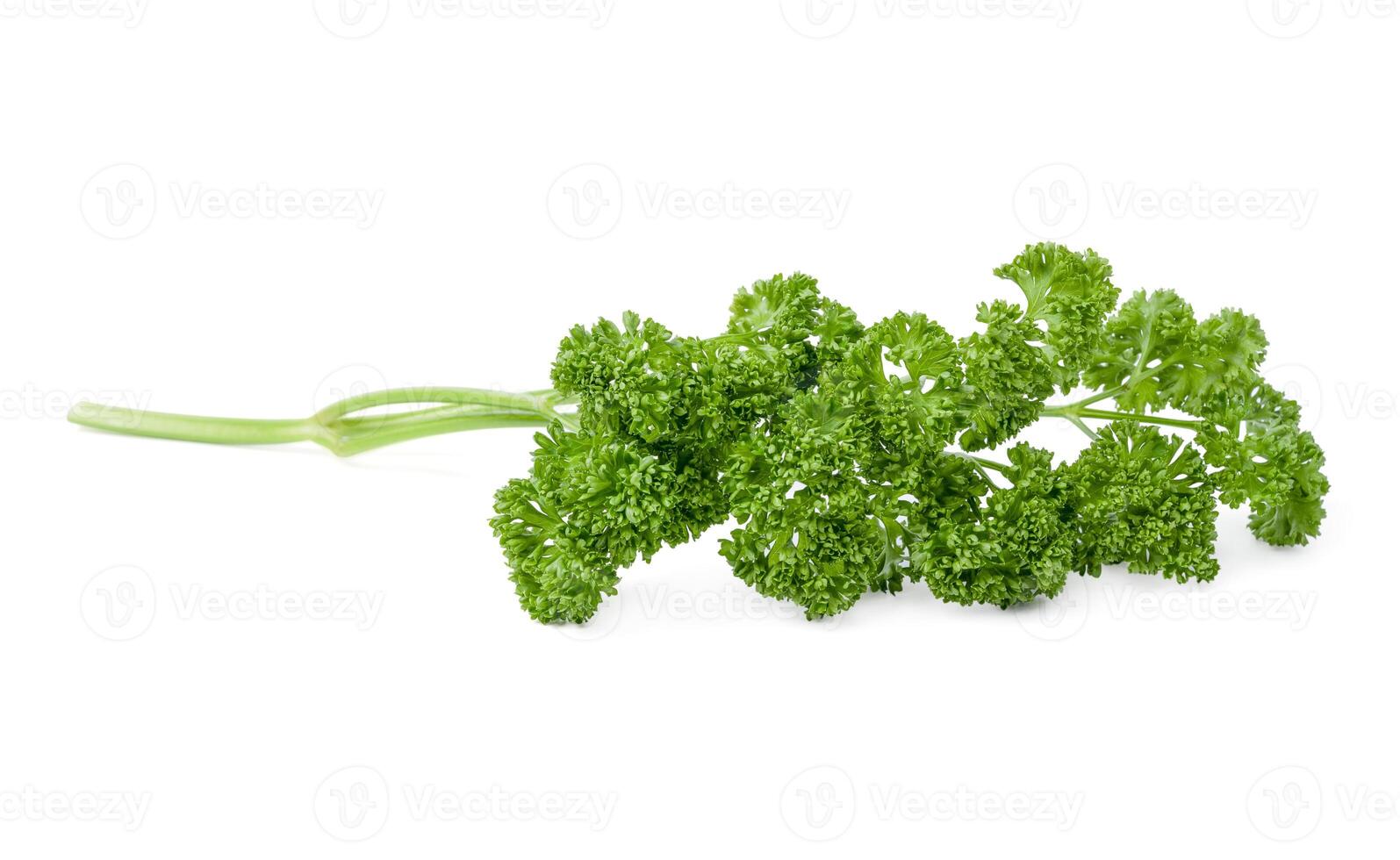 chopped parsley leaves on white background. photo