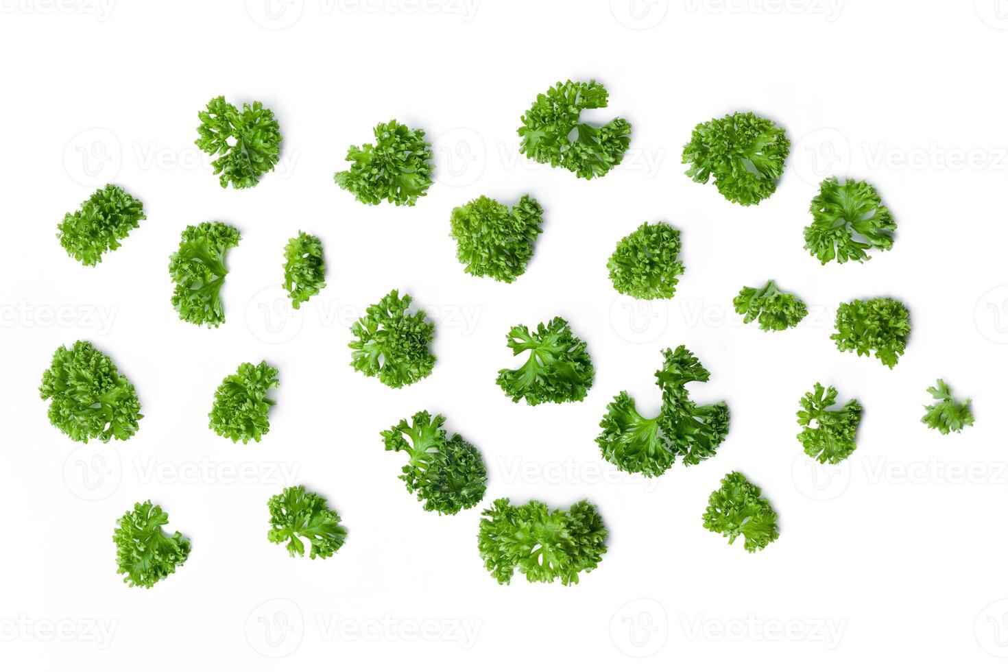 Top view chopped parsley leaves on white background. photo