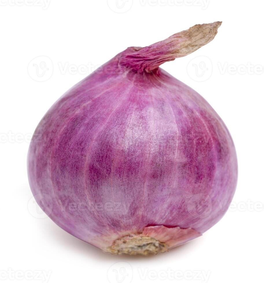 Purple onions herb isolated on white background. photo