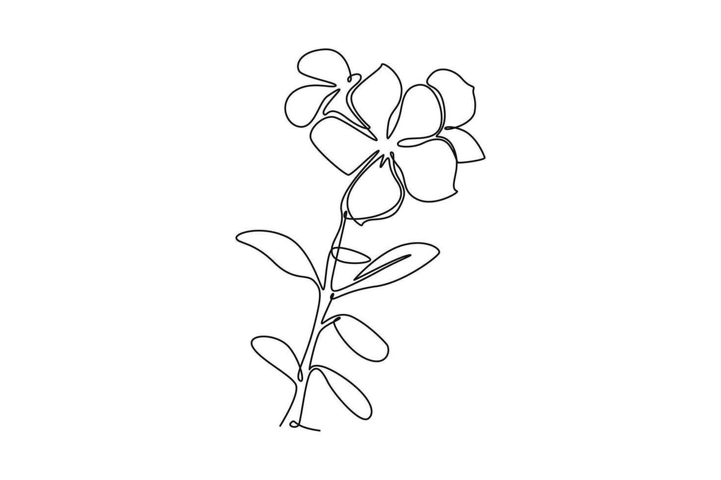 decorative periwinkle flower for greeting card ornament vector