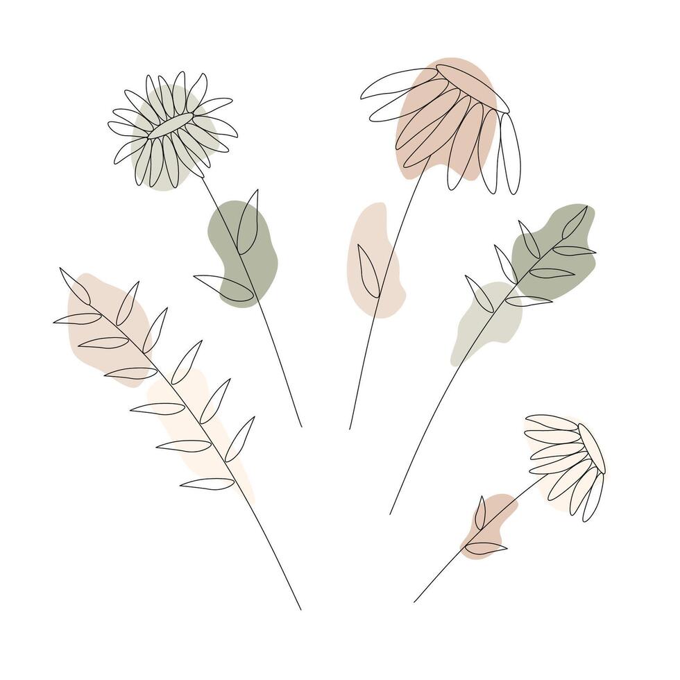 illustration of wild herbs and flowers with patches of brown and green shades on the background, black and white illustration on a white background. vector