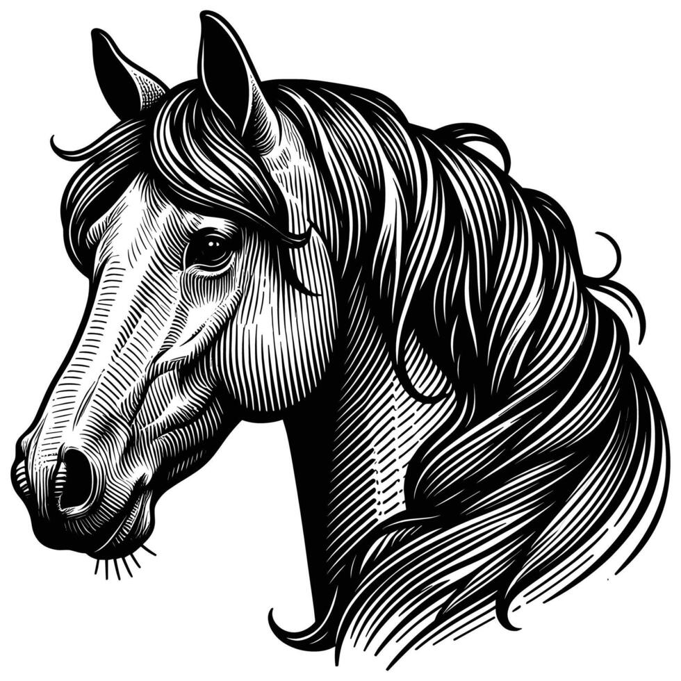 Stylish Detailed Hand Drawn Horse Head Artwork for Elegant Equestrian Projects vector