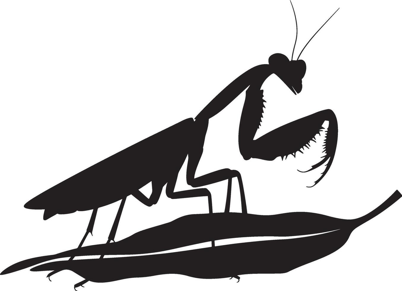 silhouette Praying Mantis vector