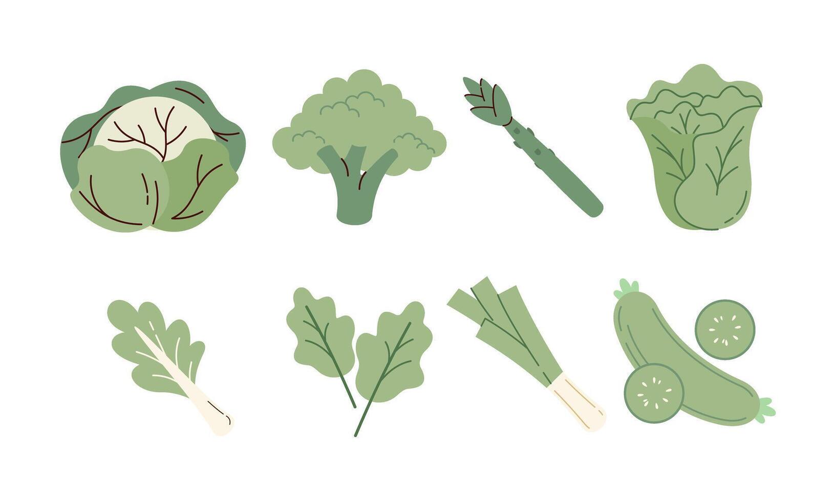 Collection of Hand-Drawn Illustrations of Healthy Vegetables on a White Background. vector