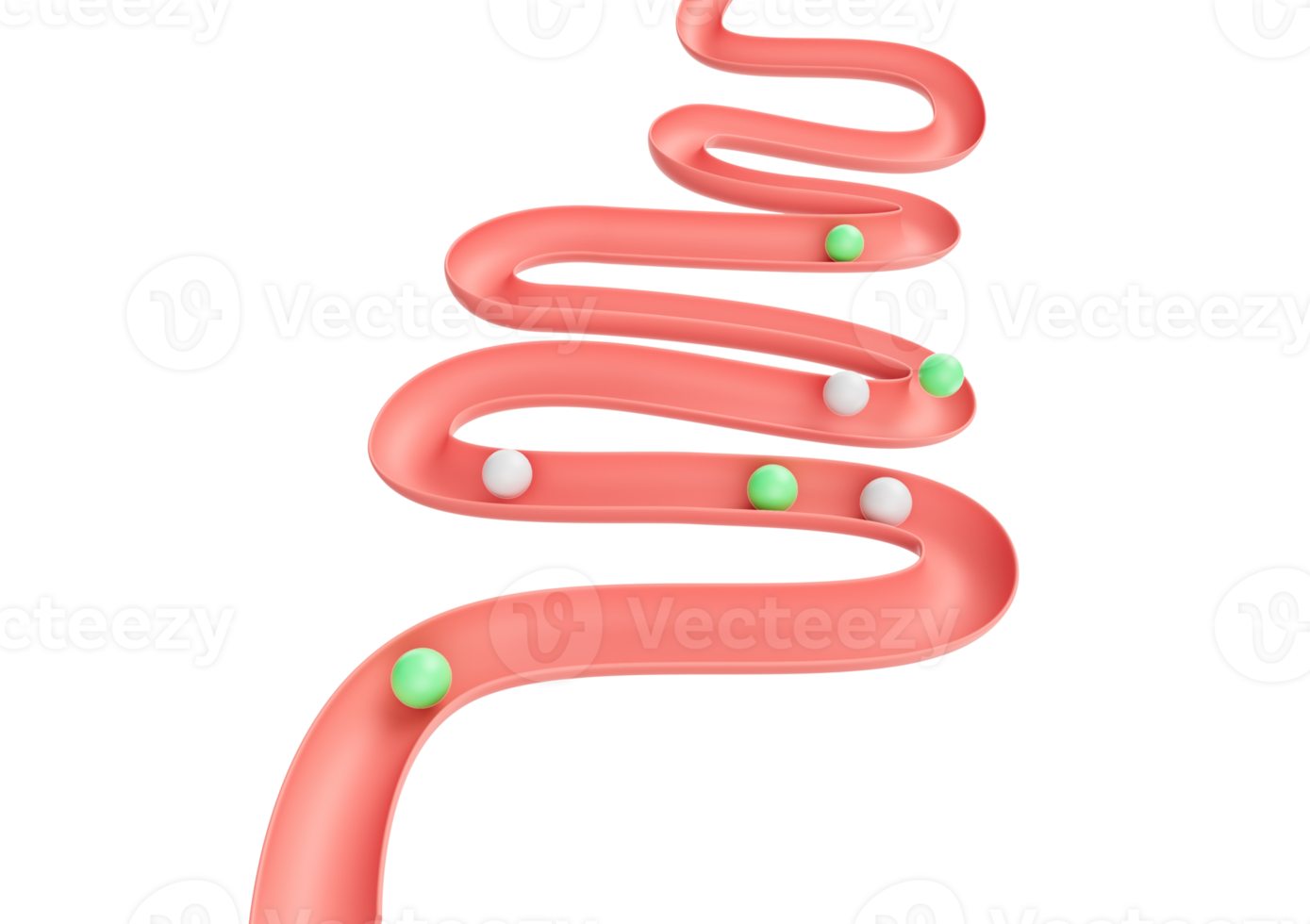Human Gut Model Digestive System Or Intestinal Tract Mockup With Balls Rolling Down 3D Illustration png