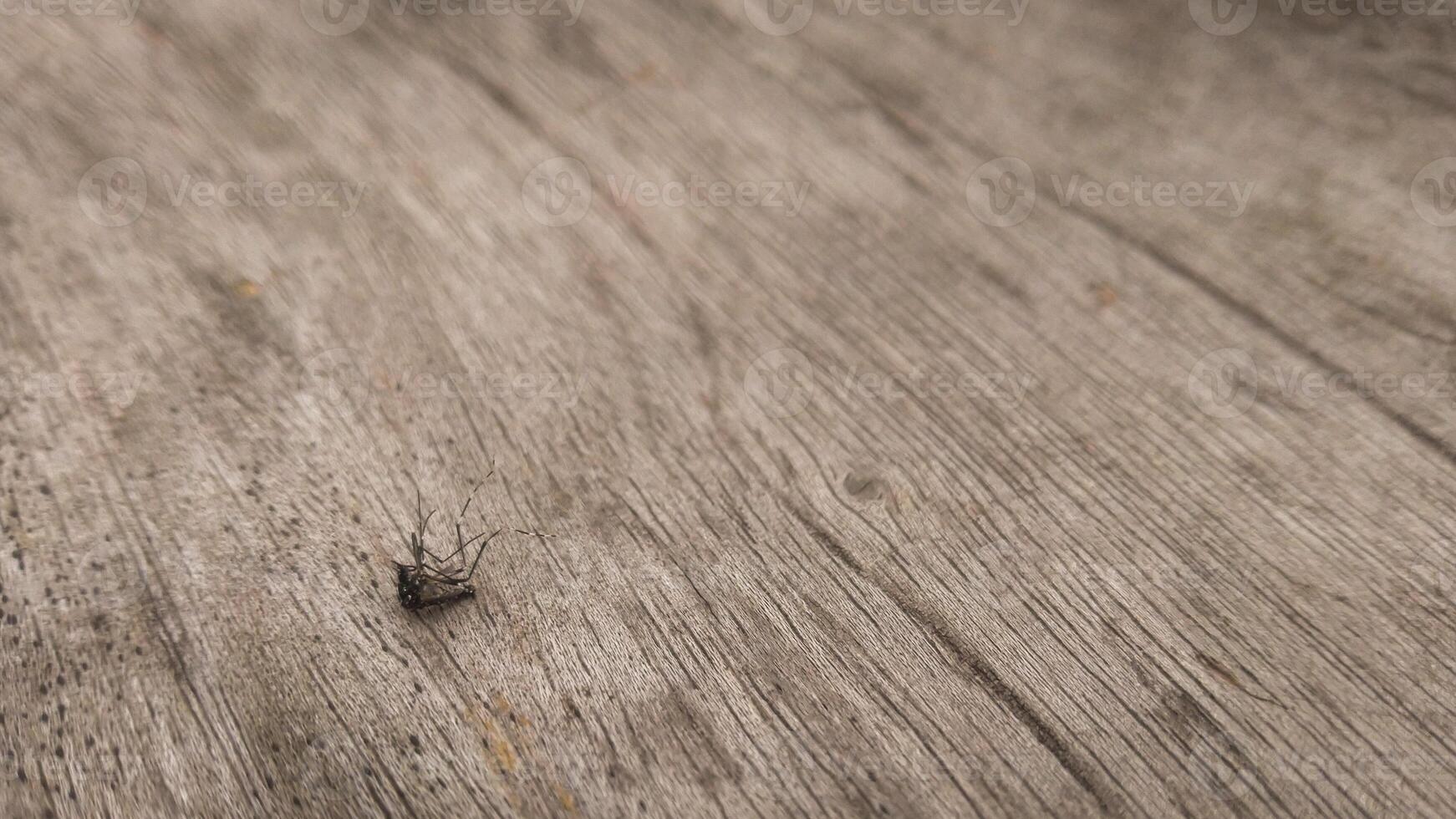 A dead mosquito lying on a wooden surface, with delicate details of the wood grain visible. The earthy tones of the wood create a natural, rustic background. photo