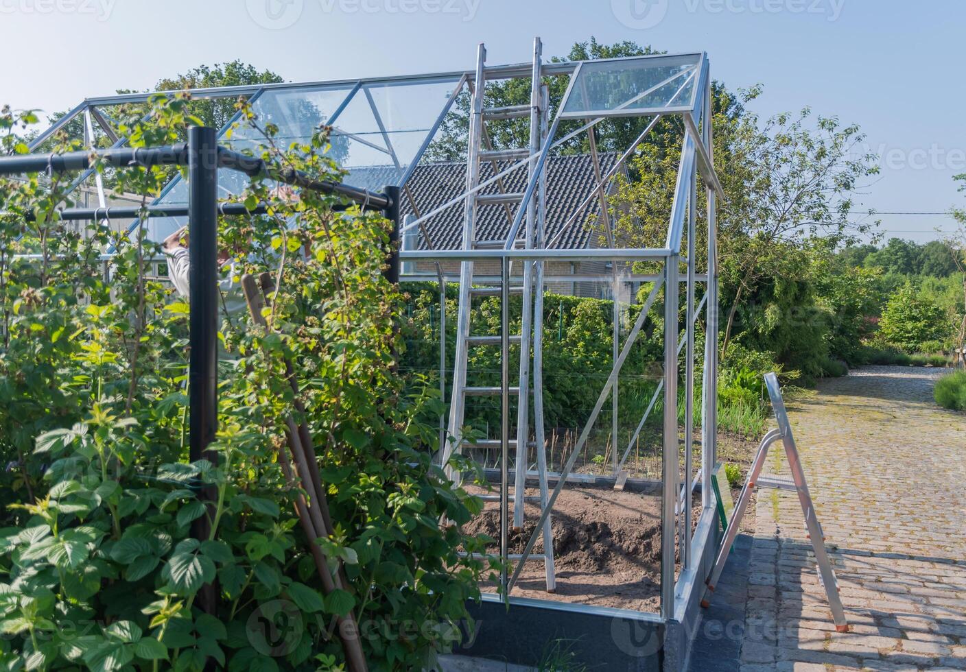 Gardener installs glass on roof of greenhouse in his garden, DIY concept and grow vegetables in small garden plot, photo