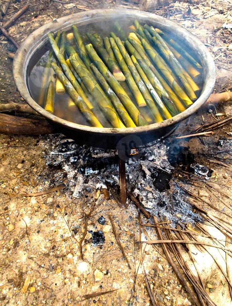 bamboo shoot boil in hot water photo