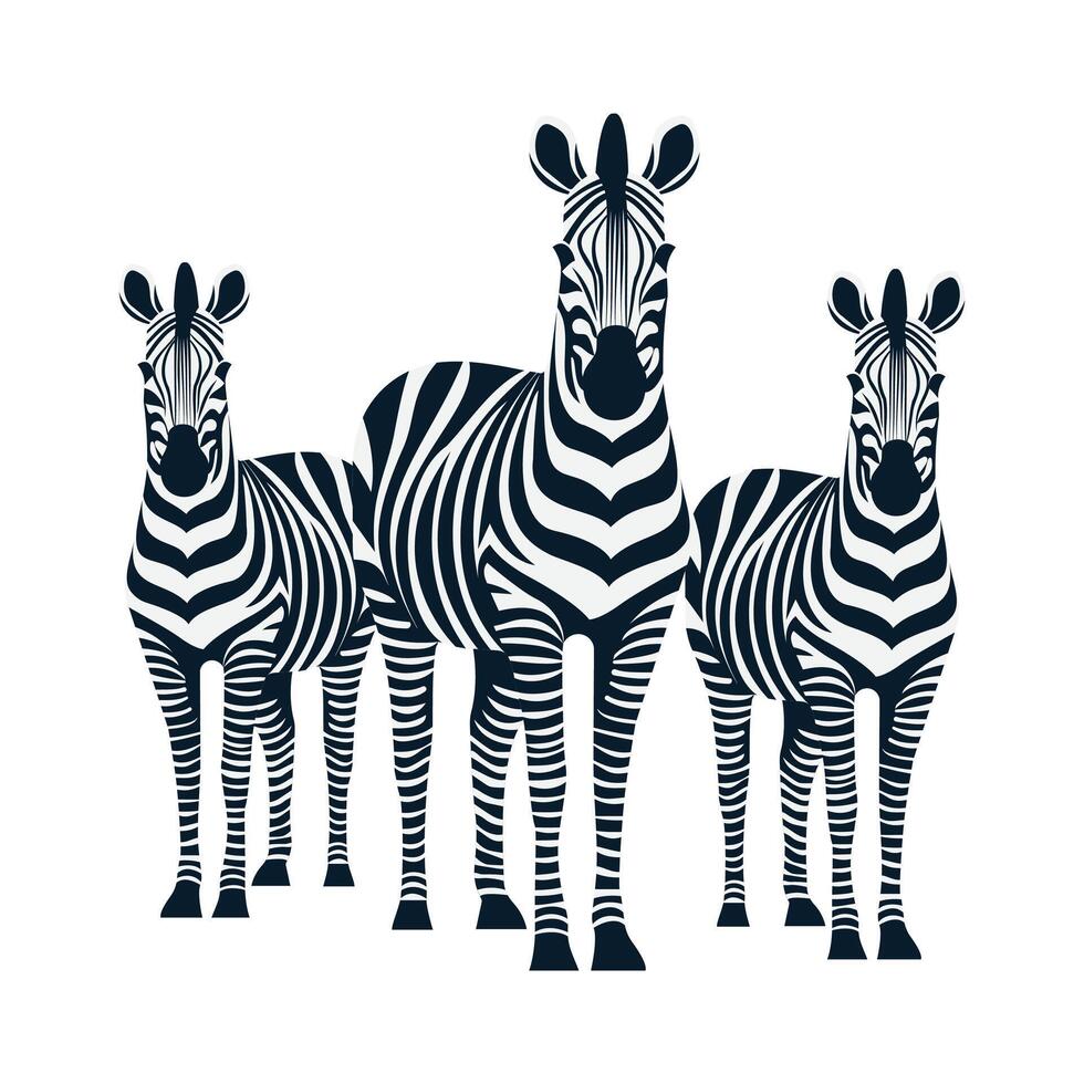 Zebra isolated on white background vector