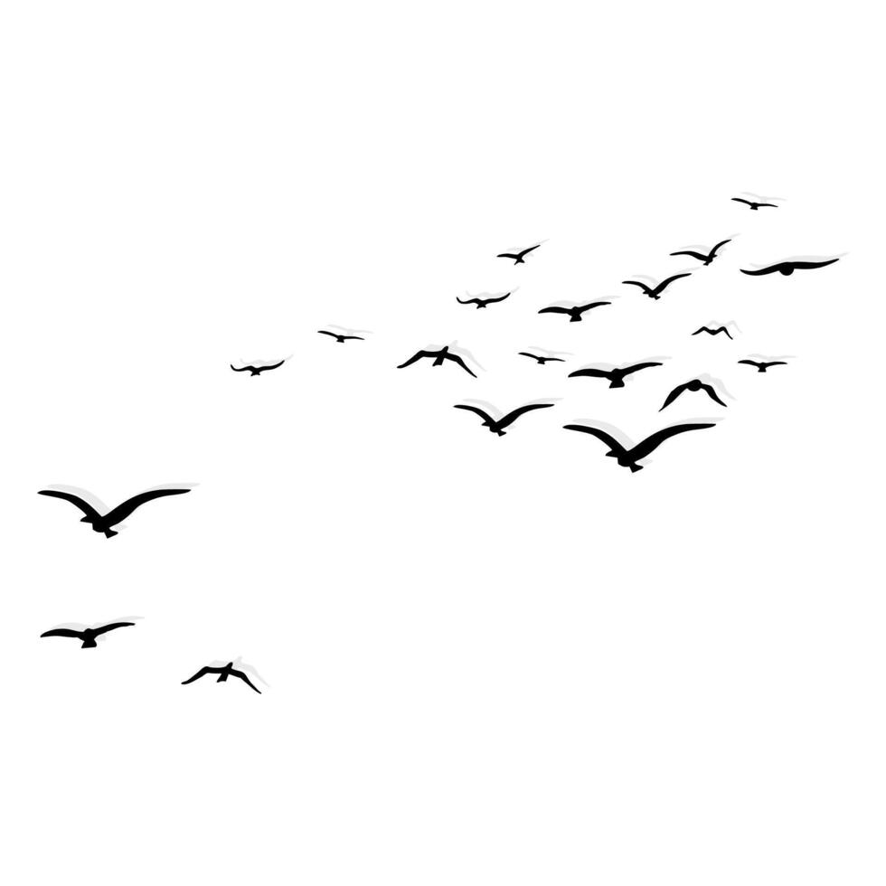 birds fly behind the shadow vector