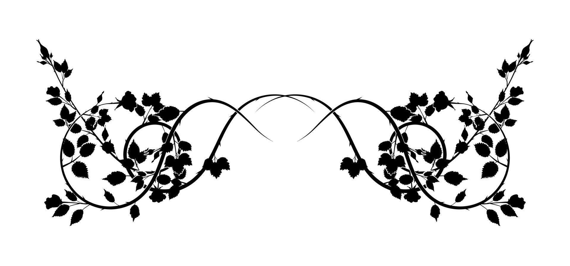 squiggle pattern roses weaving plants element new vector