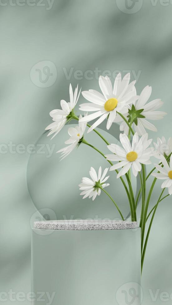 White granite and green podium in portrait with daisy flower and round wall 3D render empty scene photo