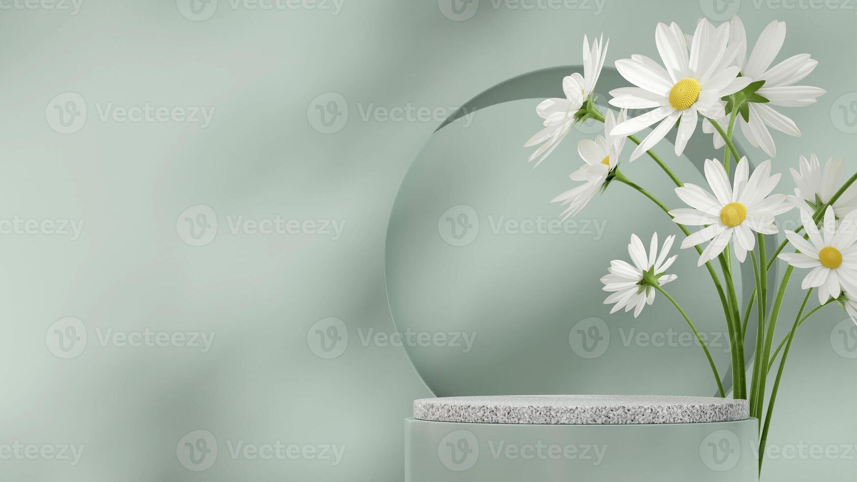 White granite and green podium in landscape with daisy flower and round wall 3D render empty scene photo