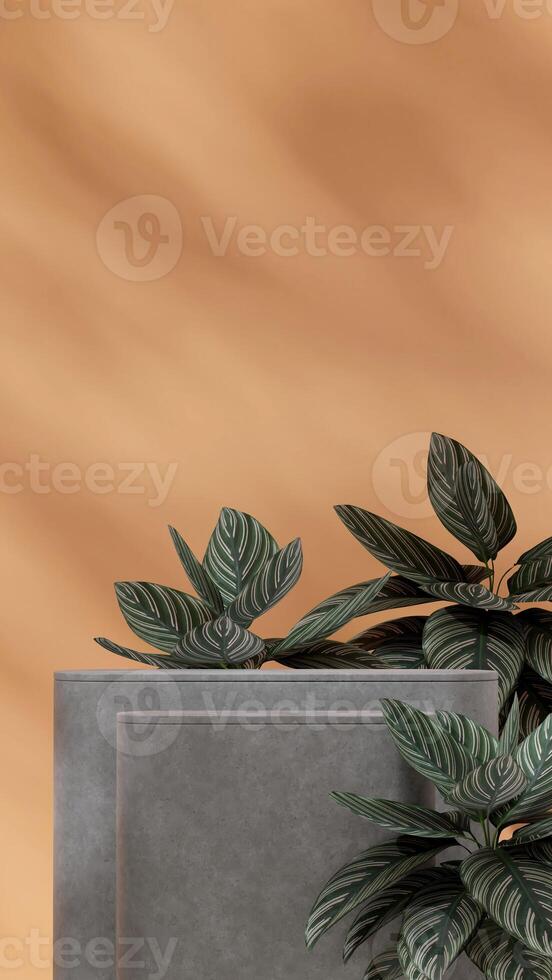 Portrait layout orange wall and prayer plant 3D image render mockup scene concrete texture podium photo