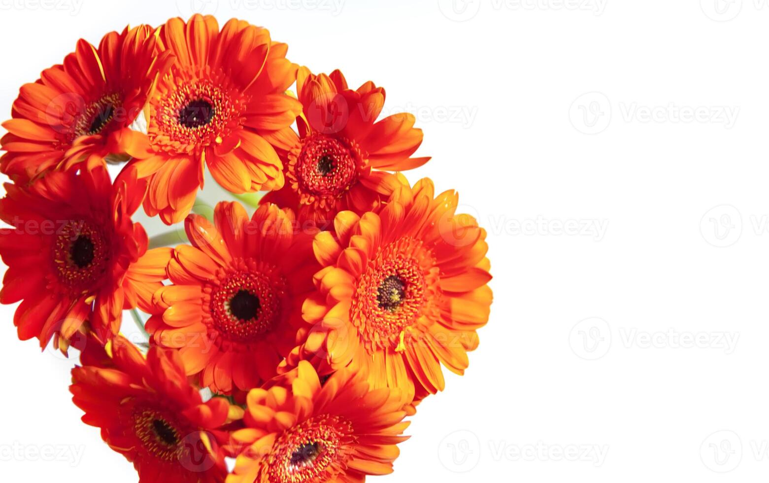 Bouquet of beautiful gerbera flowers. photo