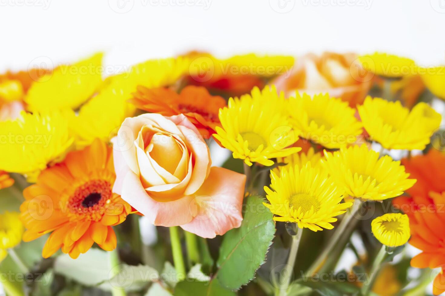 Bouquet of beautiful gerbera and rose flowers. photo