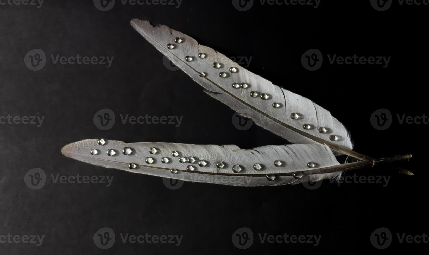 Two feathers with pearls on them are on a black background photo