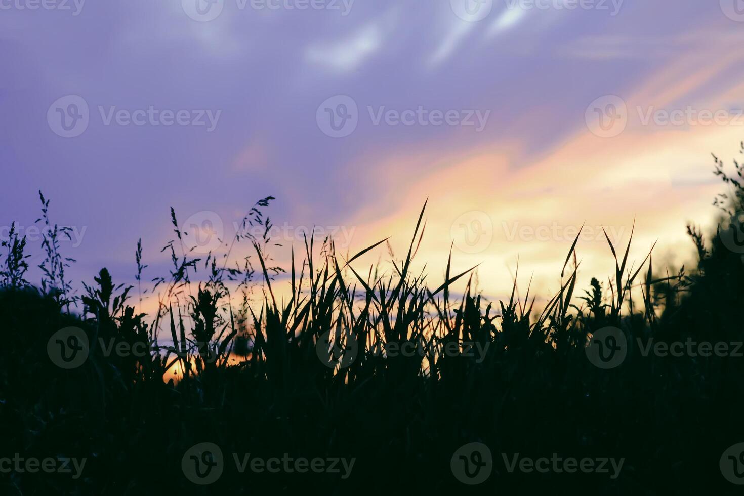 Beautiful cloudscape with blue sky and bright clouds at sunset in summer. photo