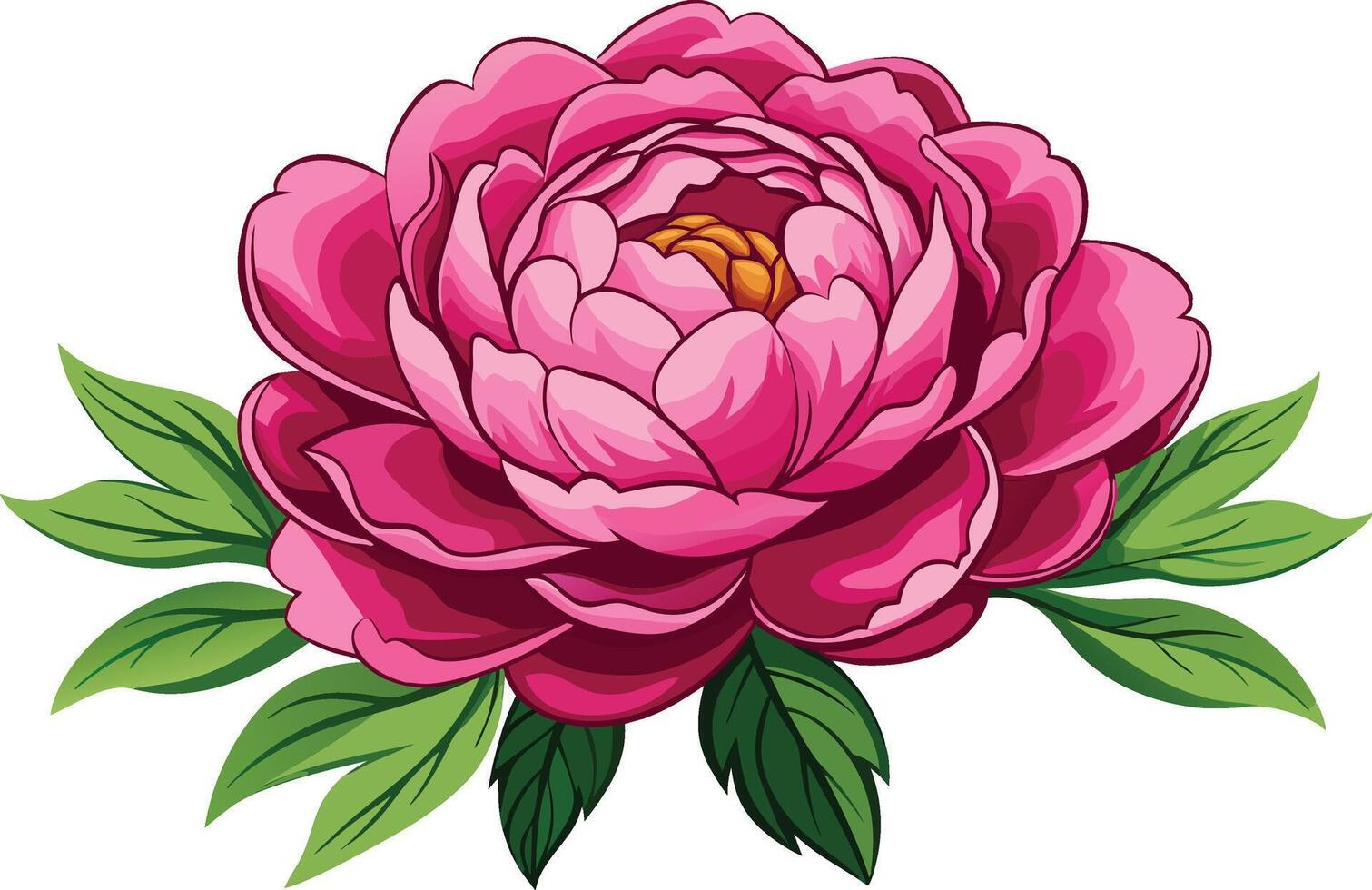 A pink peony flower with leaves on a white background vector