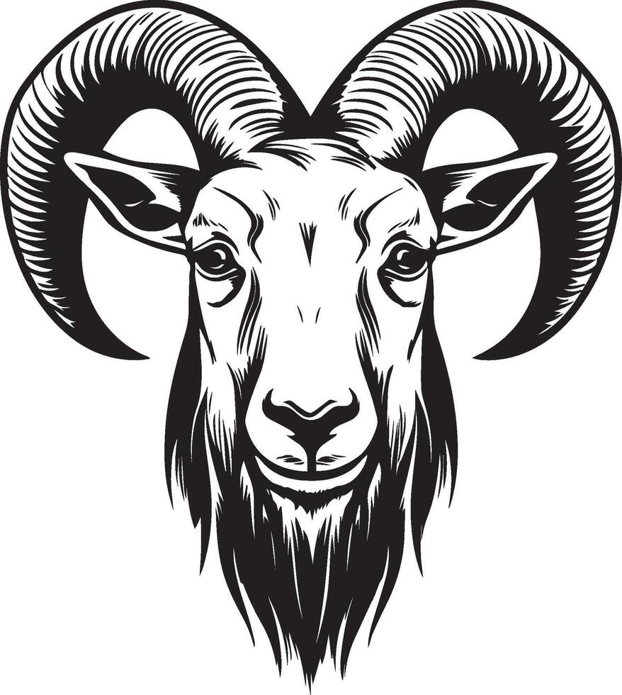 A ram head with horns on a white background vector