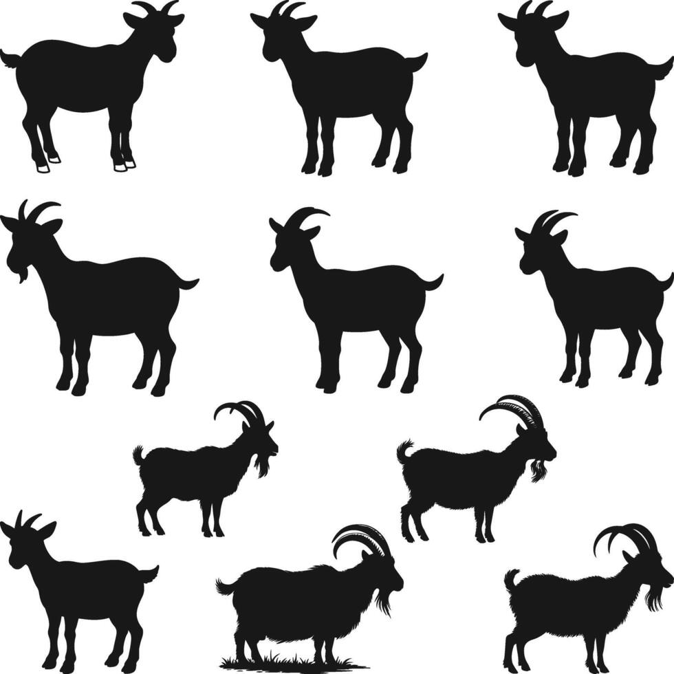Nigerian Dwarf Goat Silhouette, Show Goat Silhouette Illustration vector