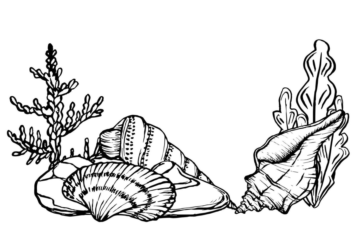 Seabed landscape with Seashells and Seaweed. Underwater design template drawing in line art style. Hand drawn illustration of undersea. algae, corals, seashells painted by black ink. Marine art vector