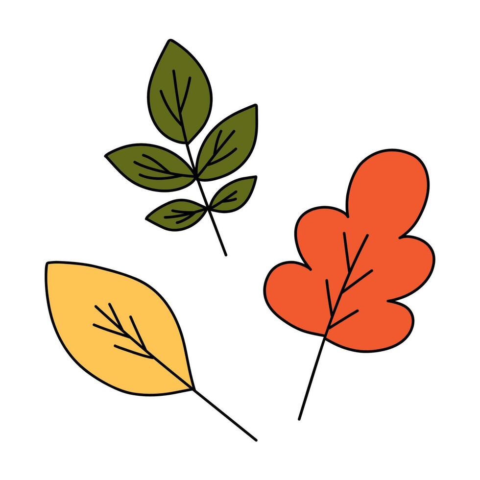 Multi-colored autumn leaves in doodle style. Yellow, orange and green leaf. Hand drawn illustration isolated on white background. vector