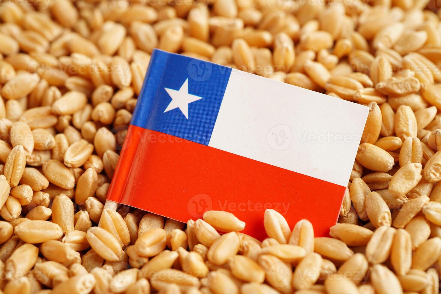 Chile flag on grain wheat, trade export and economy concept. photo