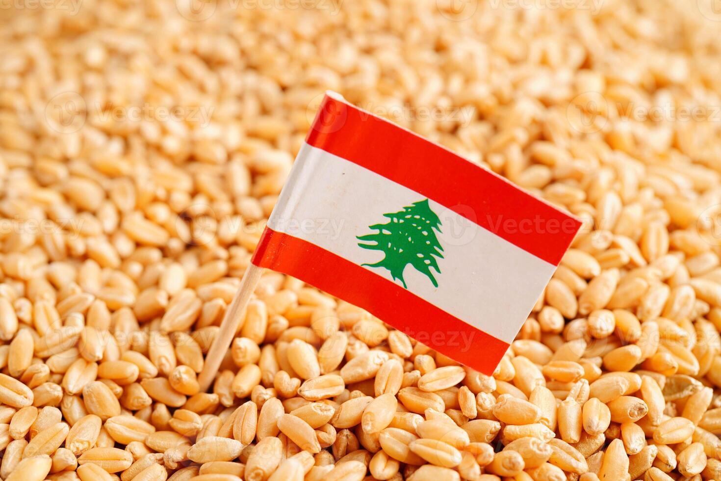 Lebanon flag on grain wheat, trade export and economy concept. photo