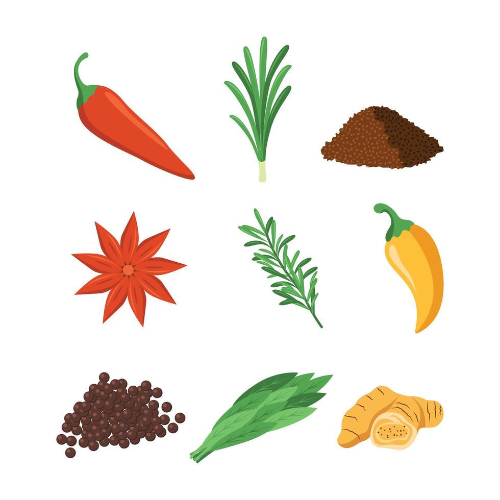 Set of Hand Drawn Spices Illustration for Culinary Designs vector