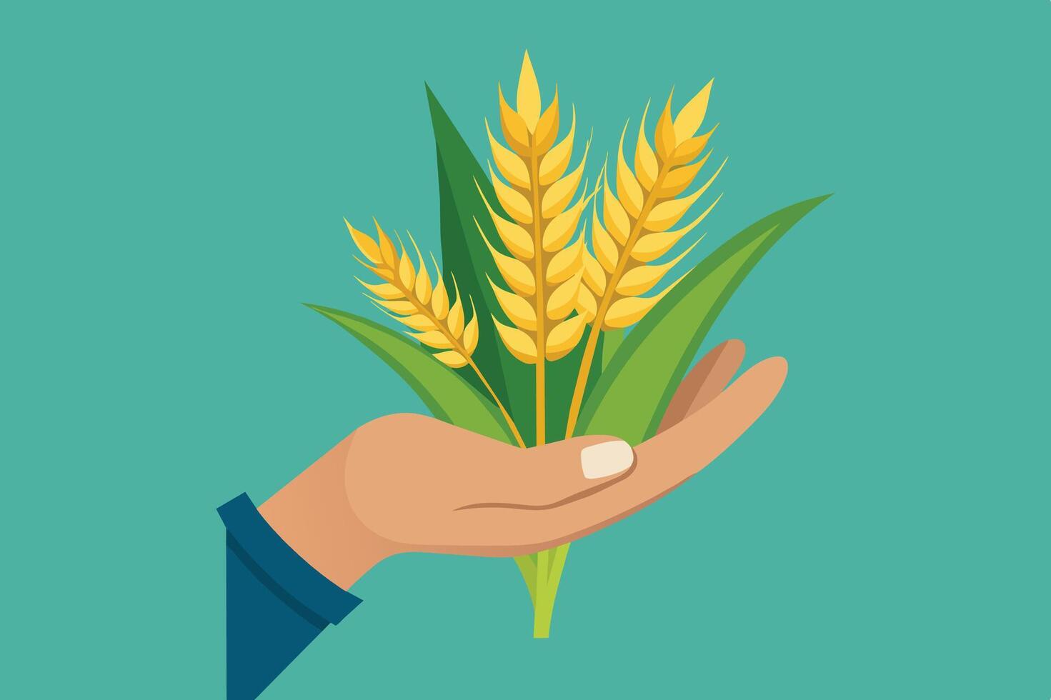 Hand holding a bundle of ripe wheat on a turquoise background during autumn harvest season vector
