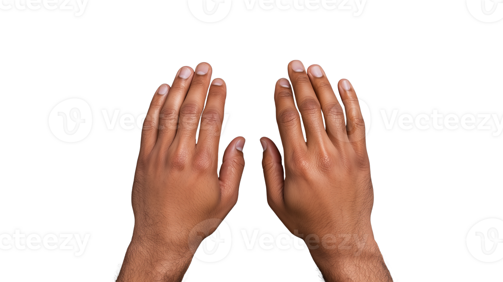 Hands in open position with natural skin tone on transparent background png