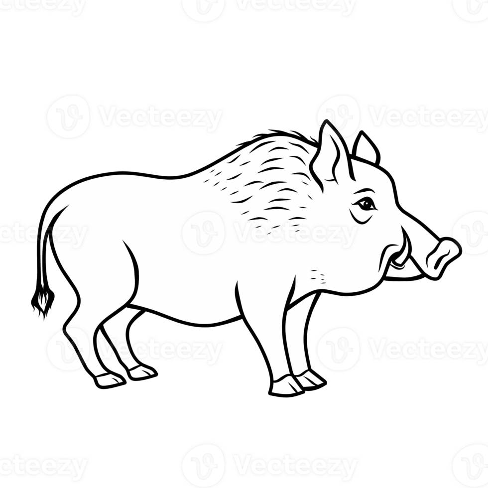 sketch illustration of boar png
